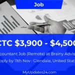 Accountant Job (Remote) Brainy Advisors (Glendale, United States) CTC $3,900 - $4,500