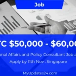 International Affairs and Policy Consultant Job at BPOINT (Singapore) CTC $50,000 - $60,000