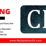 Customer Support Executive Internship at CBieriSolutions (Remote) Work From Home Apply by 28th Nov'24