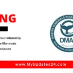 Dolphin Behaviour Internship 2024 at DMAD – Marine Mammals Research Association Montenegro