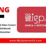 IGP Designer and Video Creator Internship 2024 in Mumbai Stipend ₹12,000Month Apply By 6th December